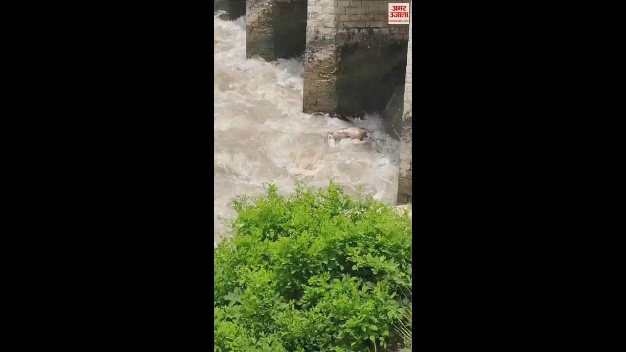 VIDEO : झाल के उफनाते पानी से शव निकालना पुलिस के लिए बना चुनौती