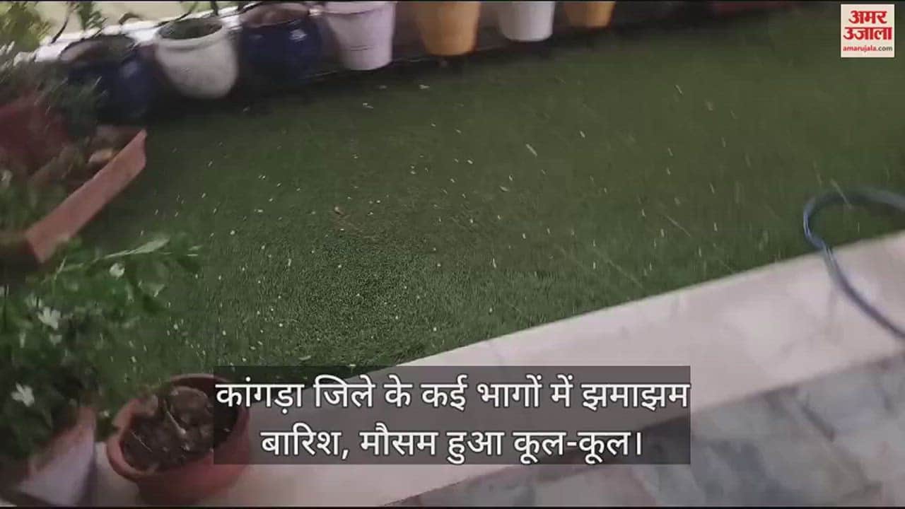 VIDEO : Heavy rain in many parts of Kangra district, weather became cool