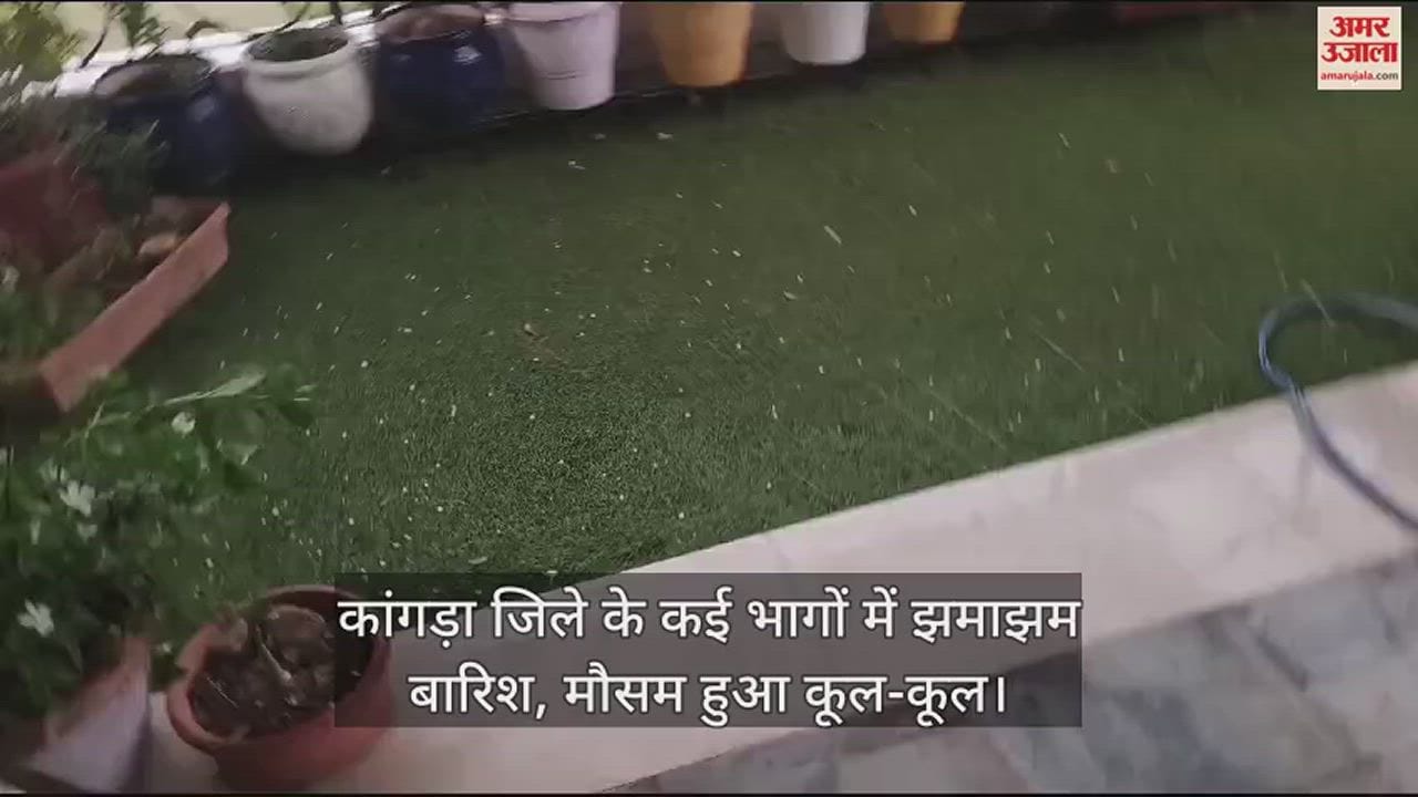 VIDEO : Heavy rain in many parts of Kangra district, weather became cool