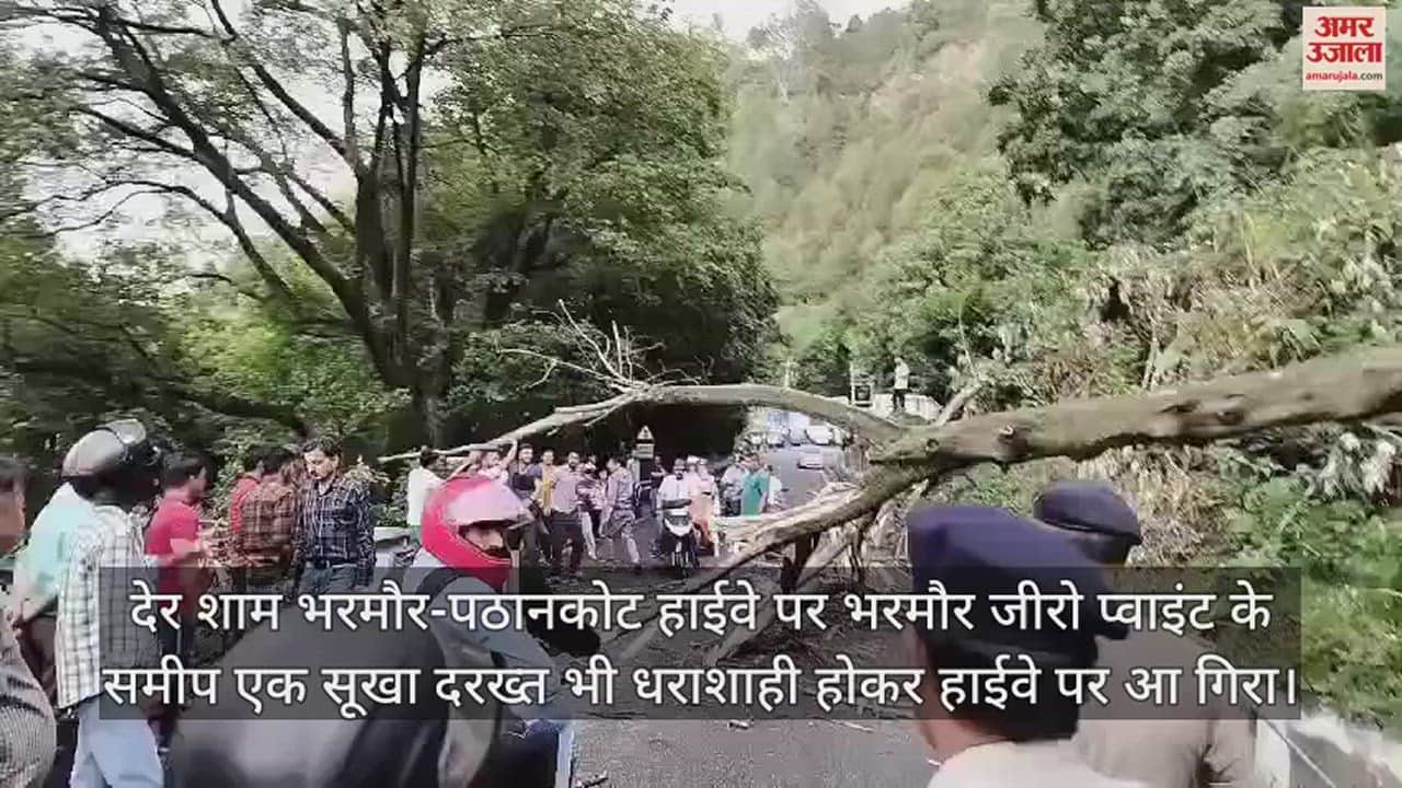 VIDEO : A tree fell on the Bharmour-Pathankot highway in Chamba, two bikes and a car got hit