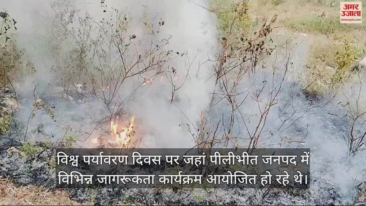 सड़क किनारे पेड़ों में लगी आग