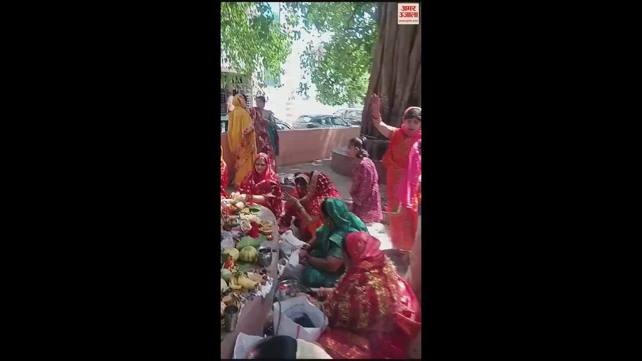 VIDEO : पीलीभीत में सुहागिनों ने रखा वट सावित्री का व्रत, पूजा-अर्चना कर मांगी मनौती