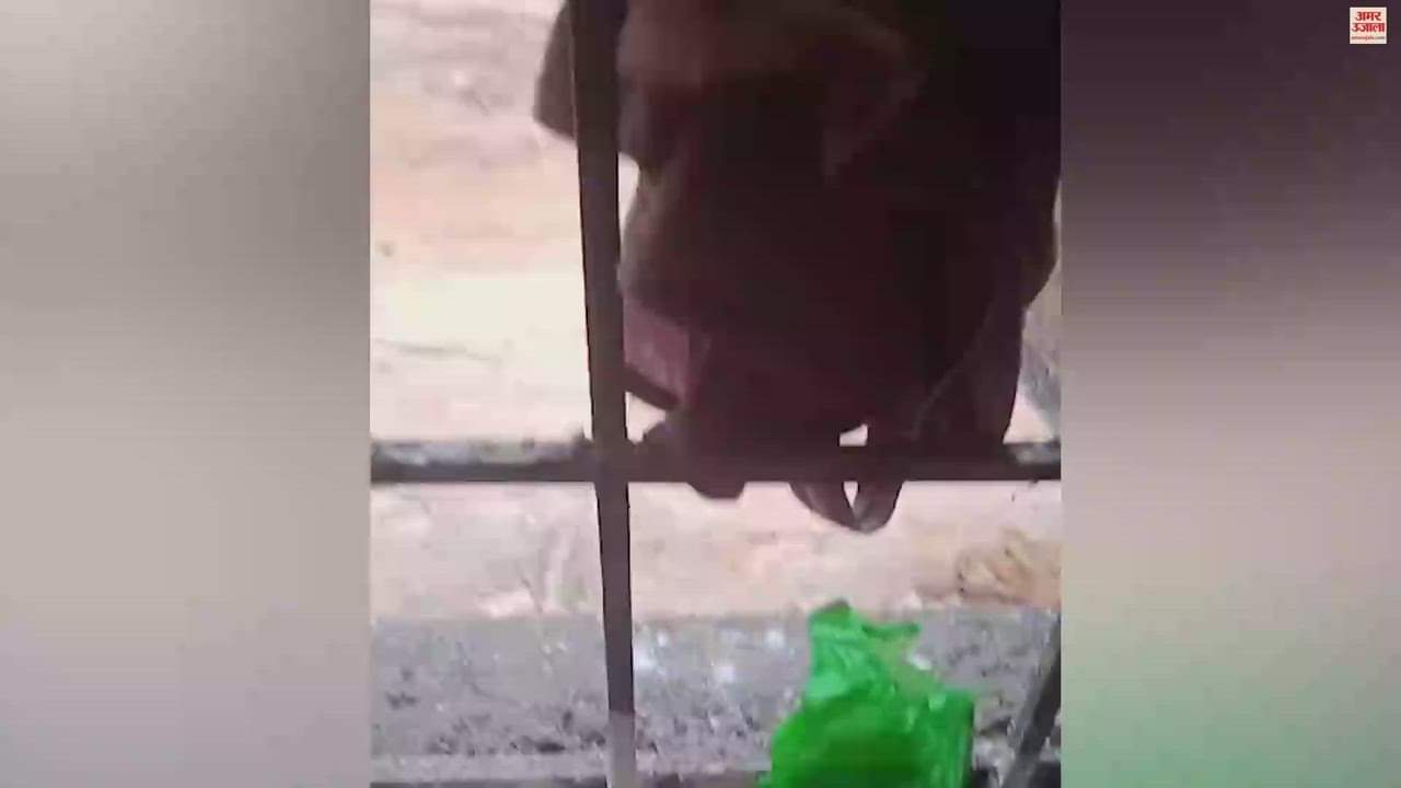 VIDEO : VIDEO : छत्तीसगढ़ के नारायणपुर में नक्सली हमले का वीडियो आया सामने