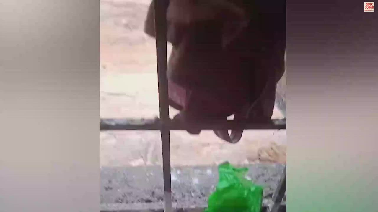 VIDEO : VIDEO : छत्तीसगढ़ के नारायणपुर में नक्सली हमले का वीडियो आया सामने