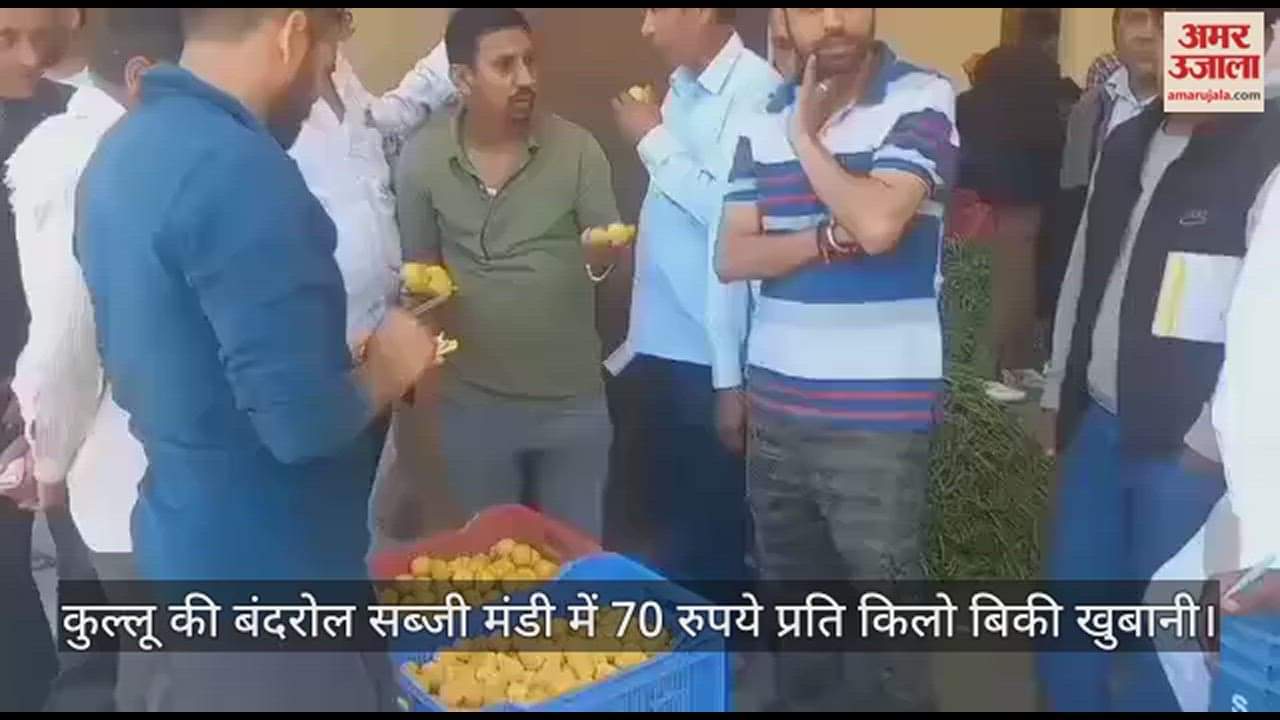 VIDEO : Apricots sold at Rs 70 per kg in Bandrol vegetable market of Kullu