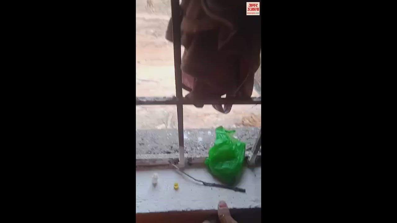 VIDEO : छत्तीसगढ़ के नारायणपुर में नक्सली हमले का वीडियो आया सामने