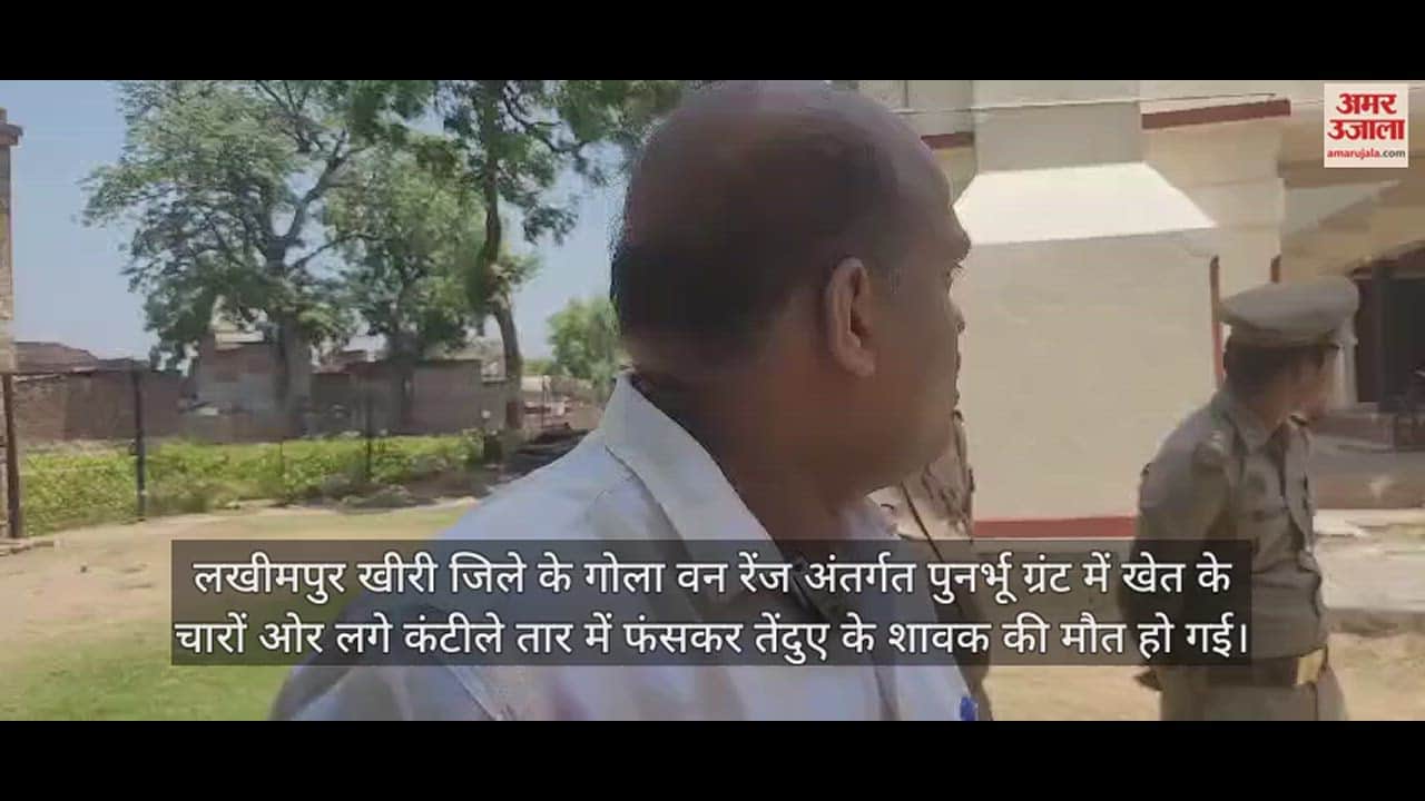 VIDEO : खेत में लगे कंटीले तार में फंसकर तेंदुए के शावक की मौत, डीएफओ ने कही ये बात