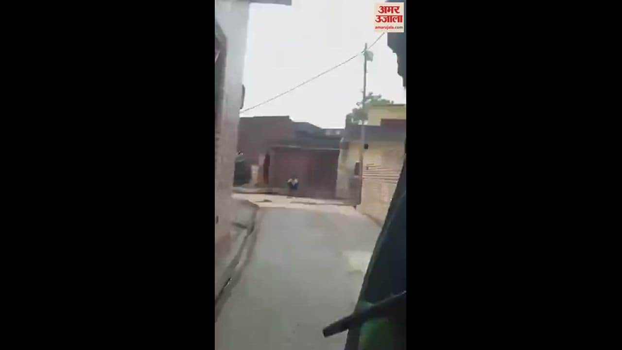 VIDEO : तमंचा लेकर घूमते शख्स का वीडियो वायरल, अब तलाश में जुटी पुलिस