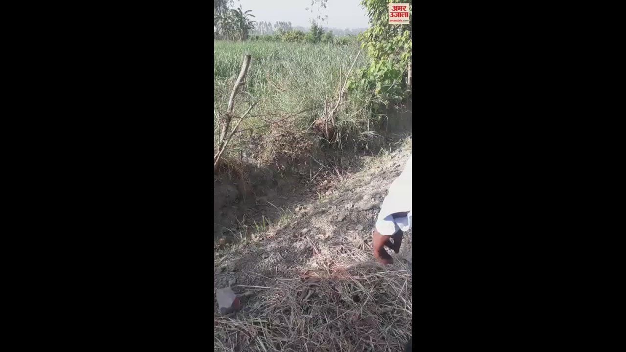 VIDEO : शिकारियों ने सुअर के शिकार को लगाया फंदा, फंस गया तेंदुए का शावक, रेस्क्यू के बाद भी नहीं बची जान