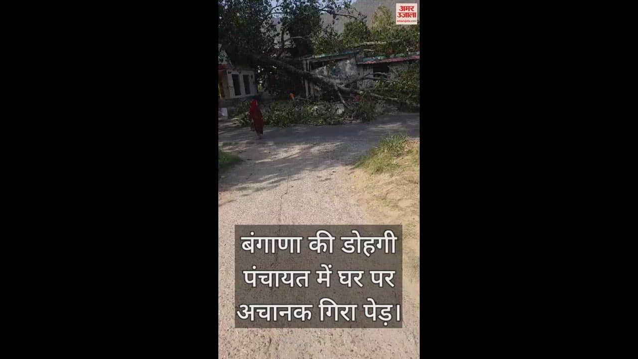 VIDEO : tree suddenly fell on a house in Dohgi Panchayat, the family narrowly escaped