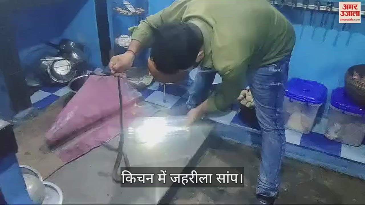 VIDEO : किचन में लगे कारपेट में बैठा था जहरीला सांप, खाना लेने गई महिला के उड़े होश, देखें वीडियो