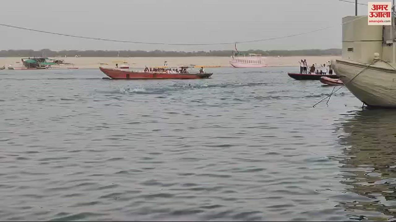 VIDEO : Vishwanath Anand got Ganga Shri title in varanasi Gayatri also topped in three km swimming competition