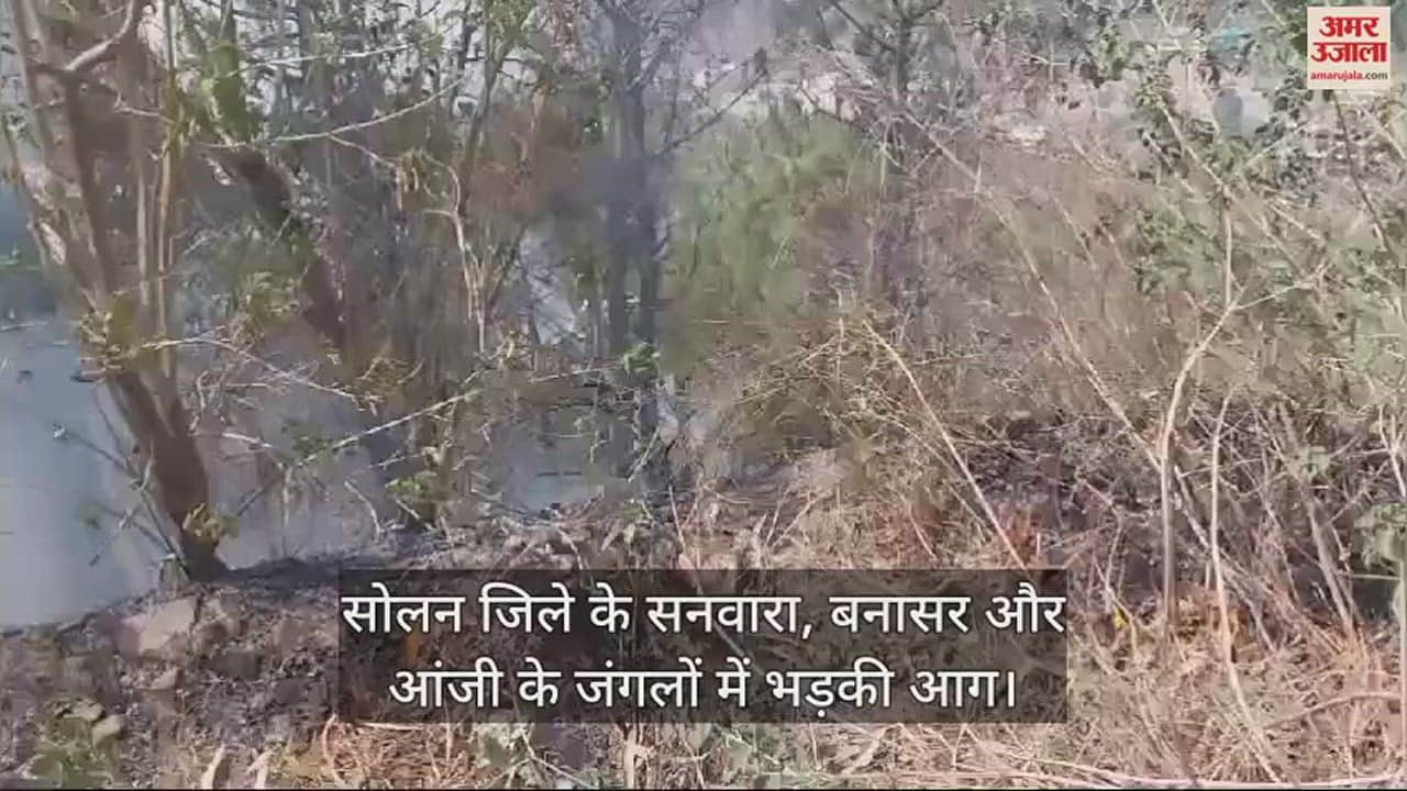 VIDEO : Fire broke out in the forests of Sanwara, Banasar and Anji in Solan district