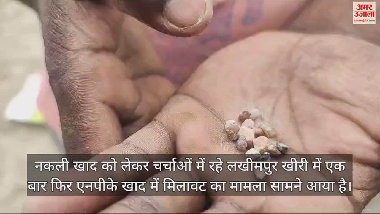 VIDEO : एनपीके खाद में निकले पत्थर, किसान ने वीडियो बनाकर किया वायरल