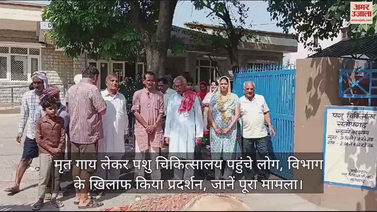 VIDEO : committee reached the veterinary hospital with the dead cow and protested against the department