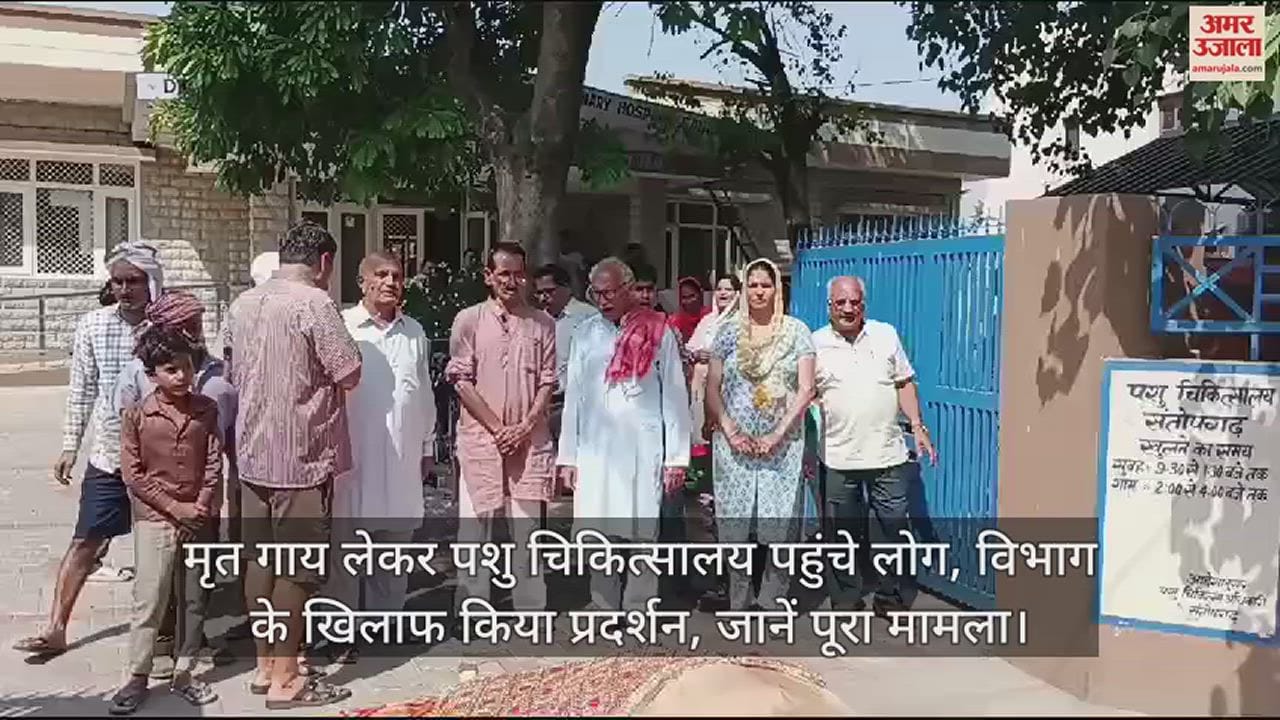VIDEO : committee reached the veterinary hospital with the dead cow and protested against the department