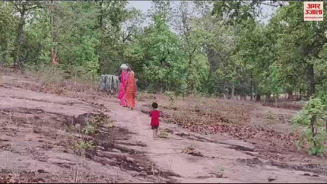 VIDEO : कोरिया में ग्रामीणों को पानी के लिए करना पड़ रहा संघर्ष, झिरिया के जल से बुझा रहे प्यास