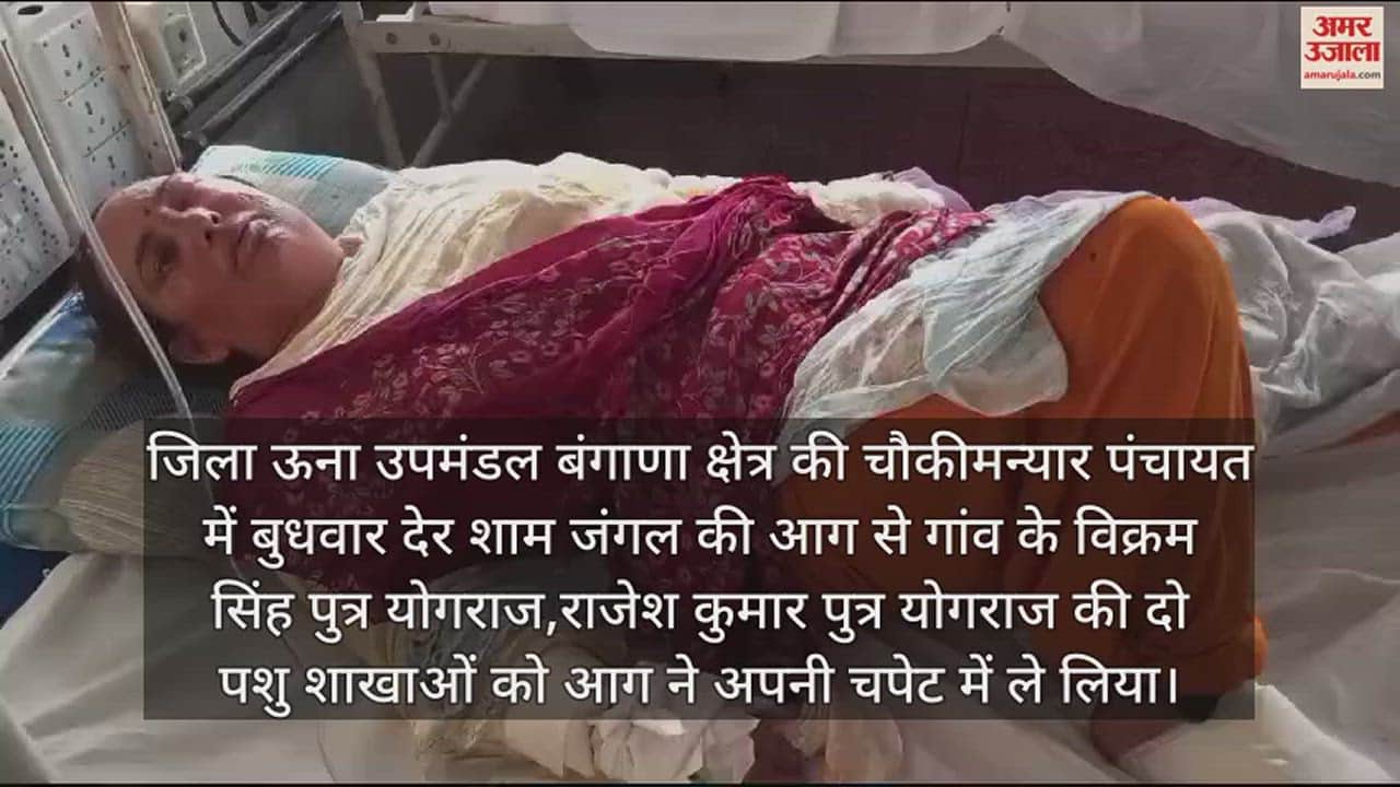 VIDEO : A woman and two buffaloes were burnt in a forest fire in Una Chowkimaniyar village