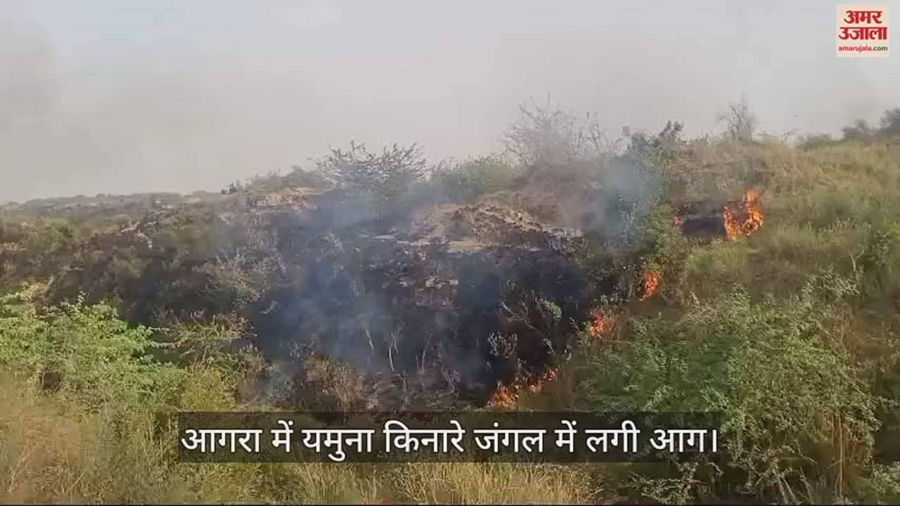 VIDEO : आगरा में यमुना किनारे जंगल में लगी आग, जीव जंतुओं में मची भगदड़