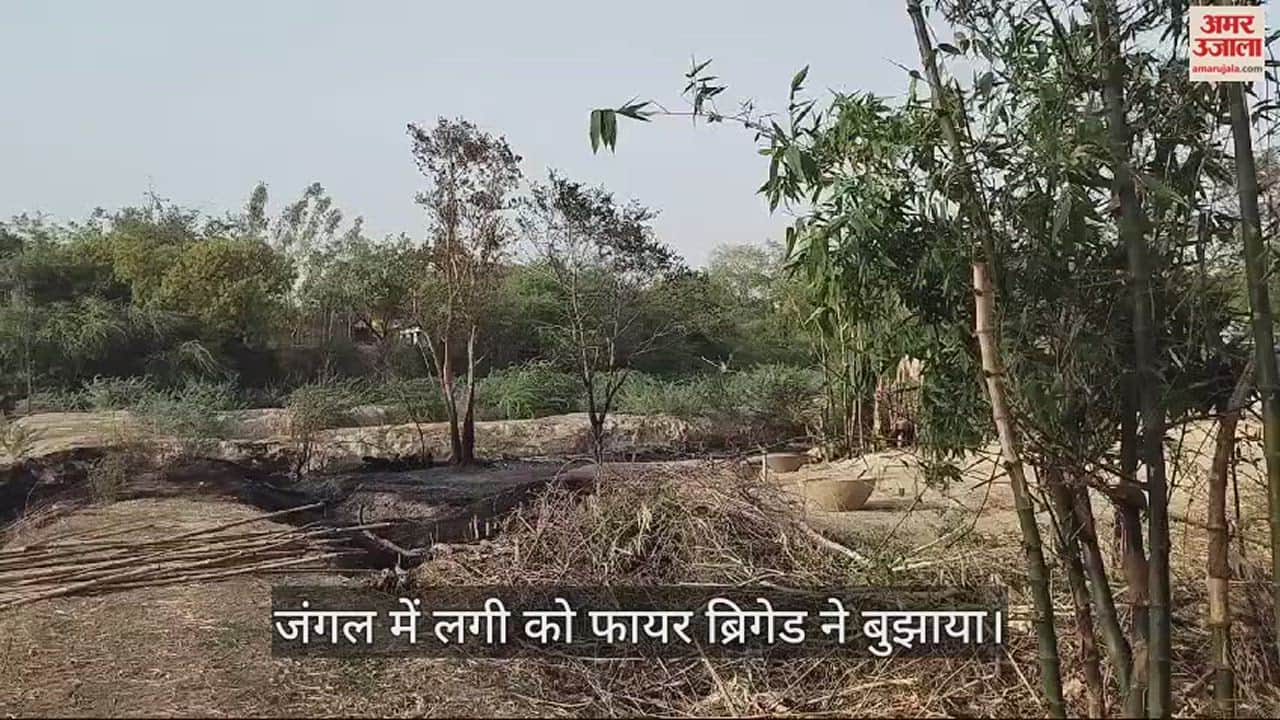 VIDEO : Mischievous elements set thatch on fire, many trees including thatch got burnt to ashes