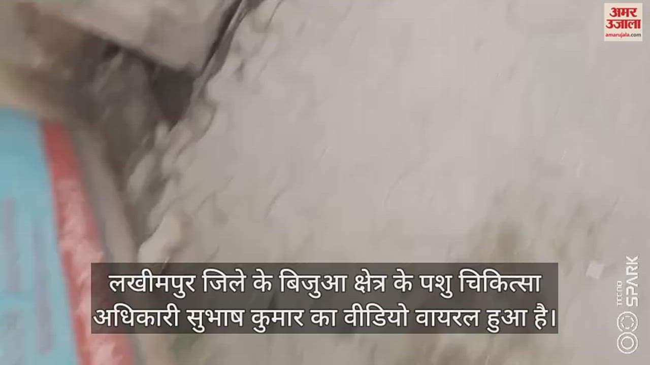 VIDEO : जब पशु चिकित्साधिकारी पर चढ़ा शराब का नशा, ऑफिस में पैंट उतारकर कुर्सी पर बैठे