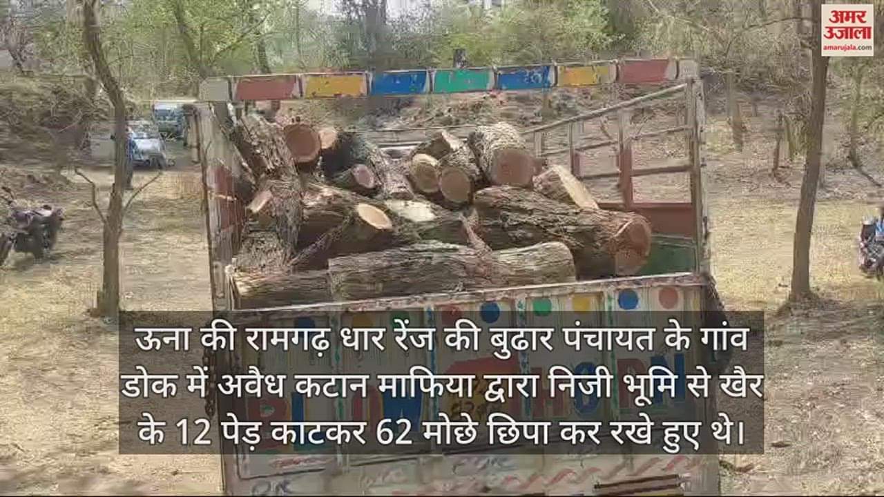 VIDEO : Wood caught in Dok village of Una people of illegal cutting mafia ran away