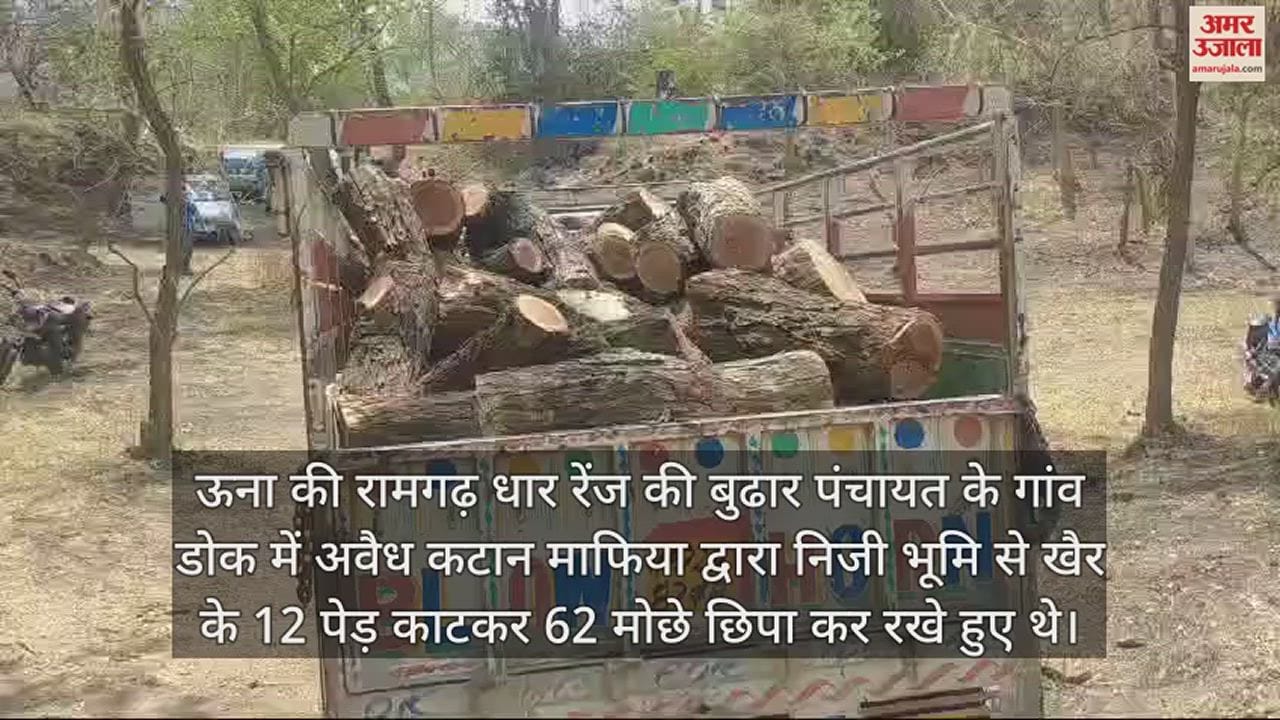 VIDEO : Wood caught in Dok village of Una people of illegal cutting mafia ran away
