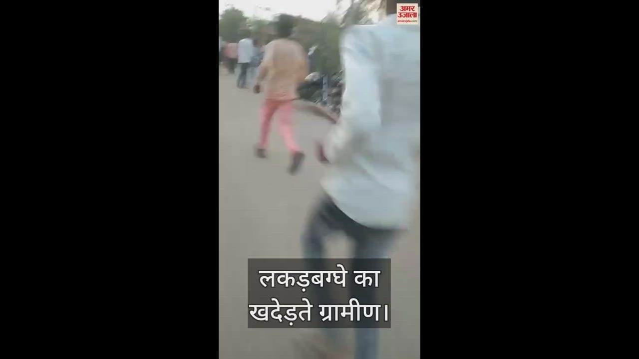 VIDEO : Hyena seen in village, creating panic among villagers
