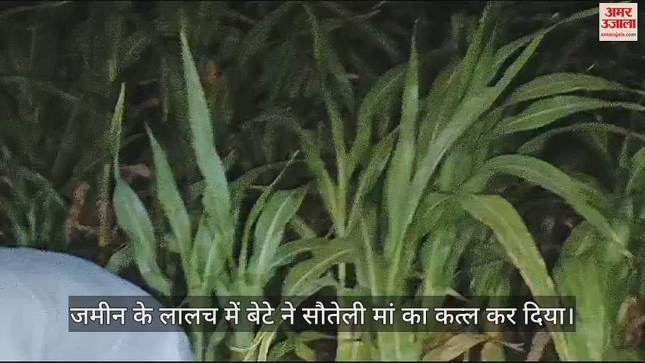 VIDEO : मां की हत्या कर खेत में दफनाया, पुलिस ने पांच दिन बाद निकाली लाश