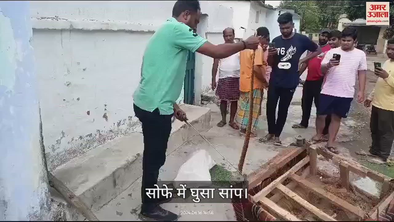 VIDEO : कोरबा में सोफे में घुस कर बैठा था सांप, जानकारी  होने पर मचा हड़कप, देखें वीडियो