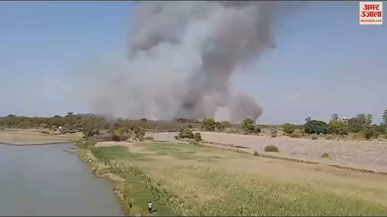VIDEO : Fire in wildlife sanctuary in Pathankot