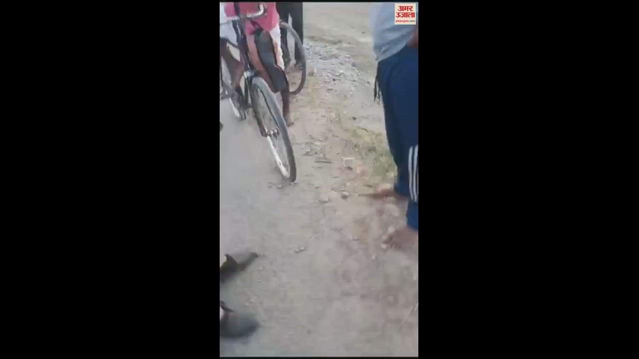 VIDEO : Tractor driver and policeman clashed over illegal recovery in chandauli video viral SP took action