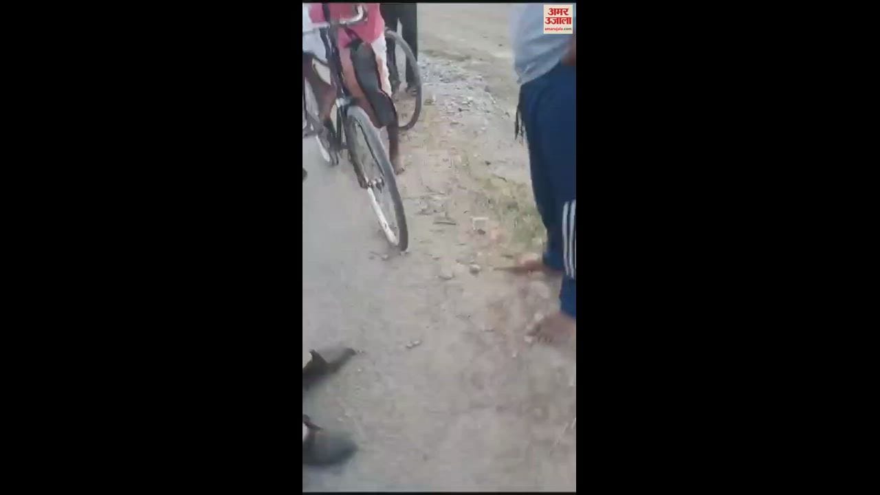 VIDEO : Tractor driver and policeman clashed over illegal recovery in chandauli video viral SP took action