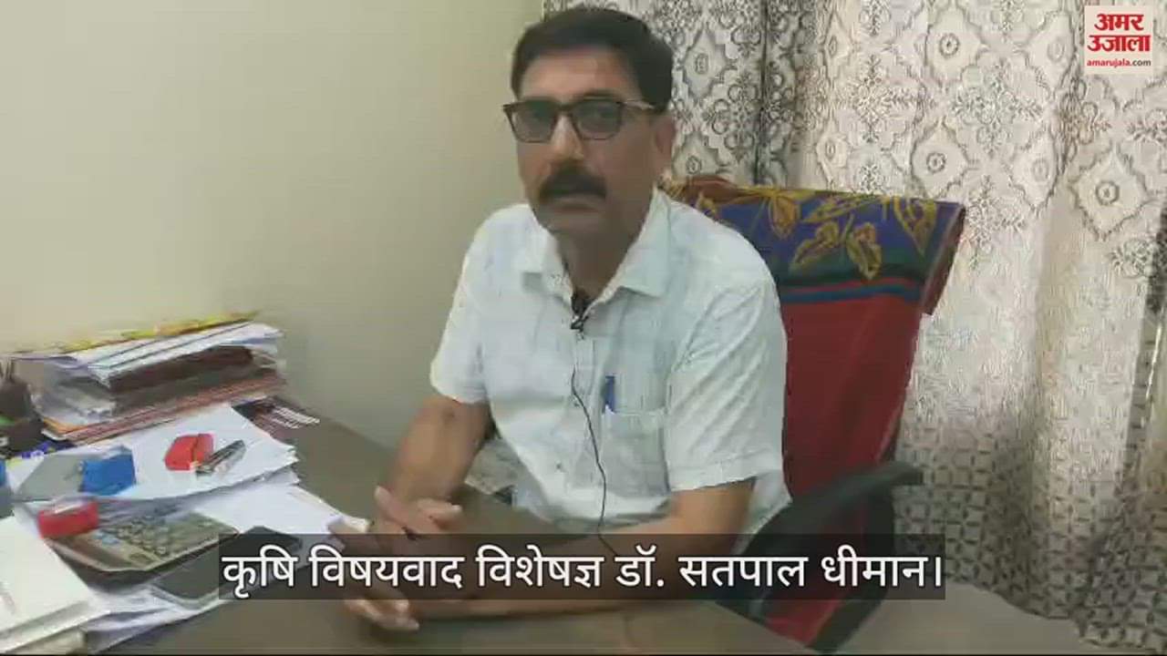 VIDEO : Farmers can get agricultural seeds on subsidy from Bangana Sales Center