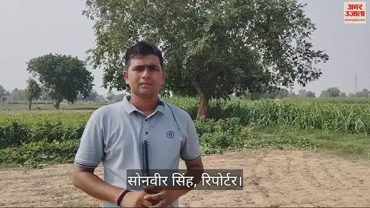 VIDEO : हाथों पर जख्म और आसपास बिखरा खून...पेड़ पर ऐसे हाल में लटका मिला किसान का शव