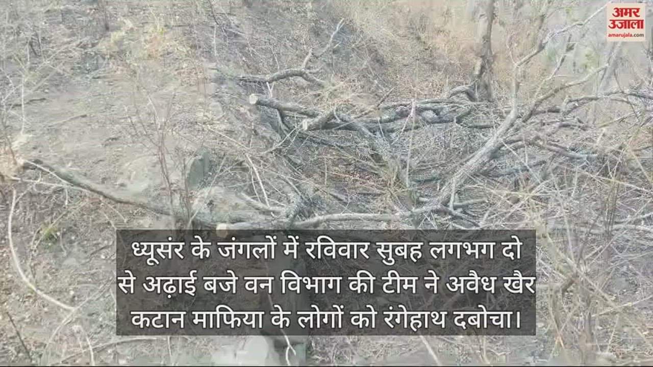 VIDEO : forest department team caught the people of Khair cutting mafia in the forests of Dhyusar in Una