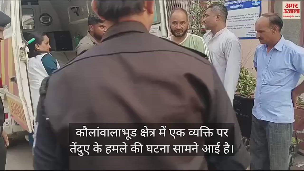 VIDEO : Leopard attacked a person in Kaulawalabhud area injured him