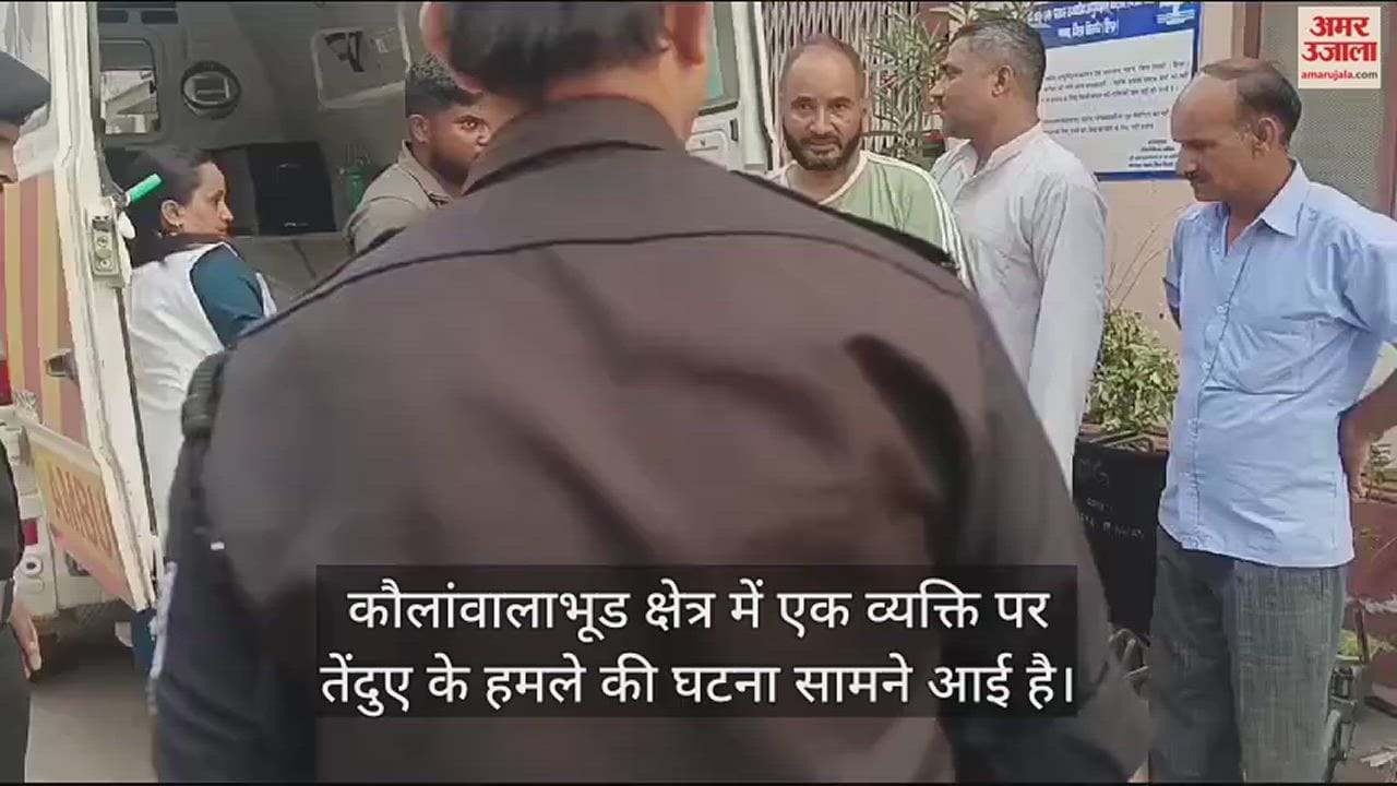 VIDEO : Leopard attacked a person in Kaulawalabhud area injured him