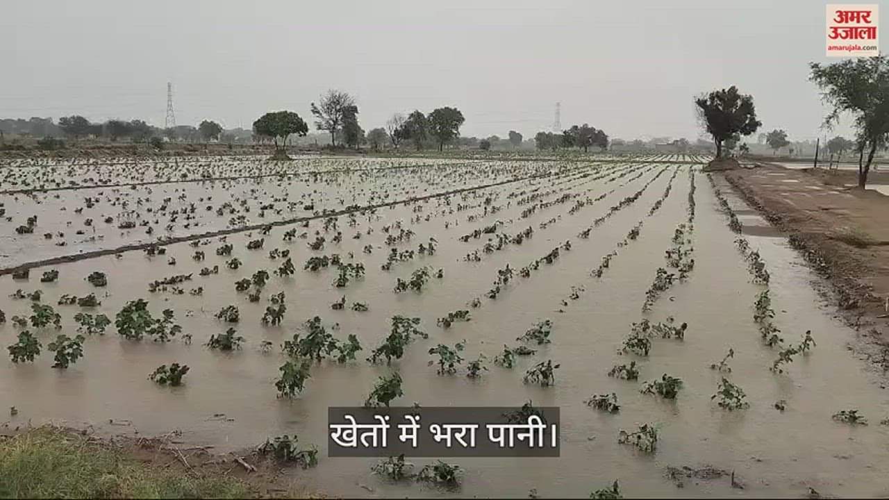 VIDEO : फतेहाबाद हुई प्री मानसून की बारिश