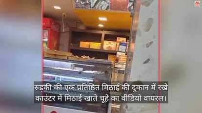 VIDEO : Rats Ate rasgullas in a famous sweet shop Counter in Roorkee