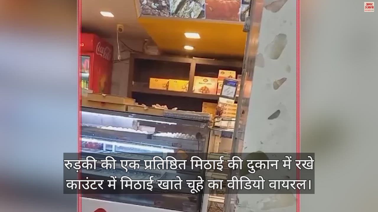 चूहे ने खाई मिठाई