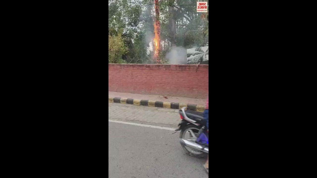 VIDEO : हिसार में नर्सरी में जोरदार धमाके के साथ गिरी बिजली, पेड़ में लगी आग