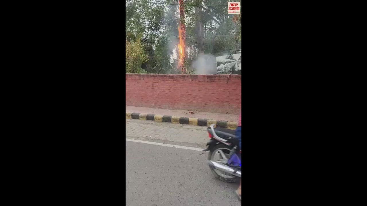 VIDEO : हिसार में नर्सरी में जोरदार धमाके के साथ गिरी बिजली, पेड़ में लगी आग