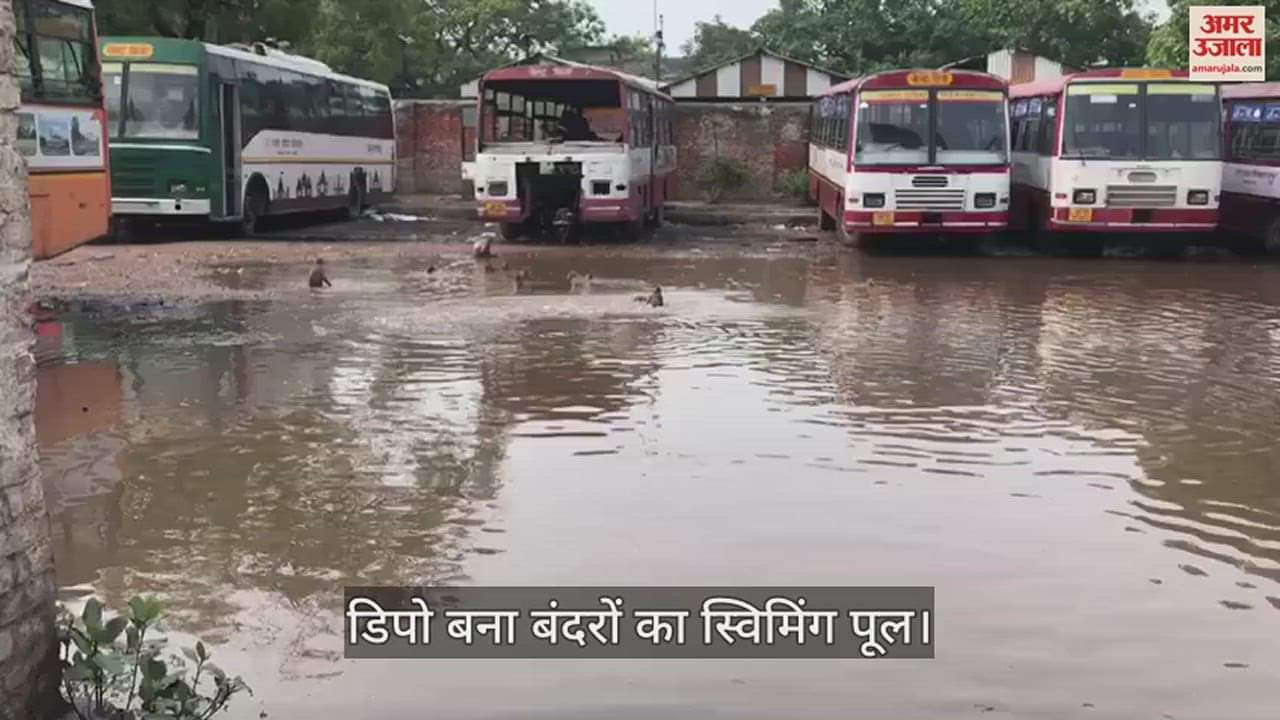 VIDEO : Varanasi Roadways Depot Workshop becomes a swimming pool for monkeys