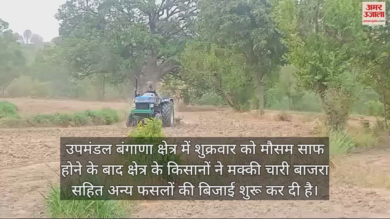 VIDEO : Farmers started sowing after the weather cleared in Bangana