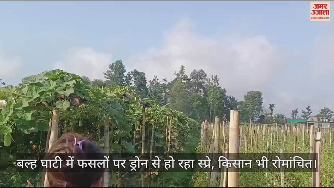 VIDEO : Drones are being used to spray crops in Balh valley, farmers are also thrilled