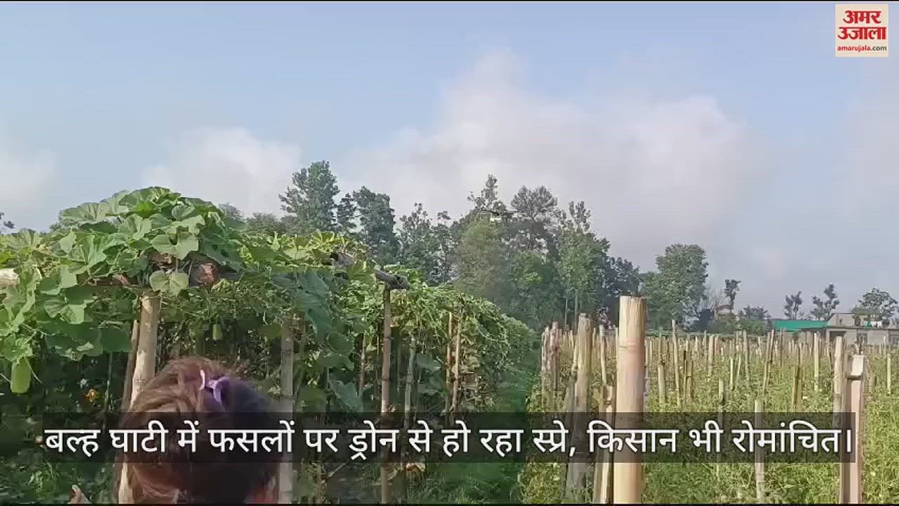 VIDEO : Drones are being used to spray crops in Balh valley, farmers are also thrilled