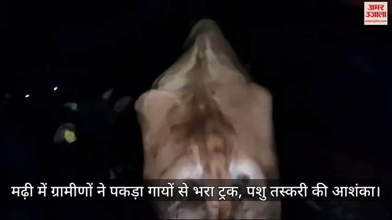 VIDEO : Villagers caught a truck full of cows in Mari manali