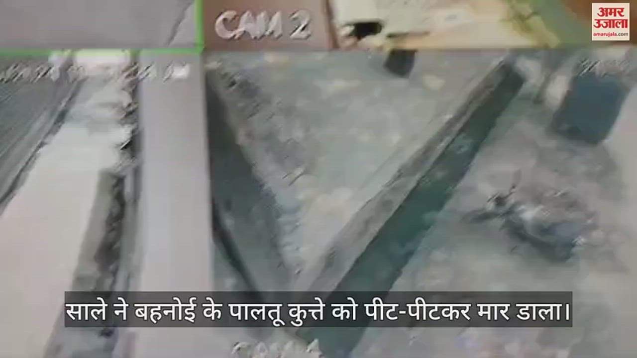 VIDEO : साले ने बहनोई के पालतू कुत्ते को पीट-पीटकर मार डाला, बहन ने भाई के खिलाफ दी तहरीर