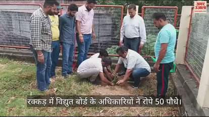 VIDEO : Electricity Board officials planted 50 saplings in Rakkad